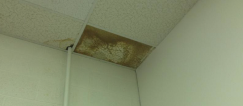 Common Causes Of Ceiling Water Damage Include Leaky Or Burst Pipes An Overflowing Toilet And Roof Leaks To Learn M In 2020 Mold Growth Cleaning Mold Get Rid Of Mold